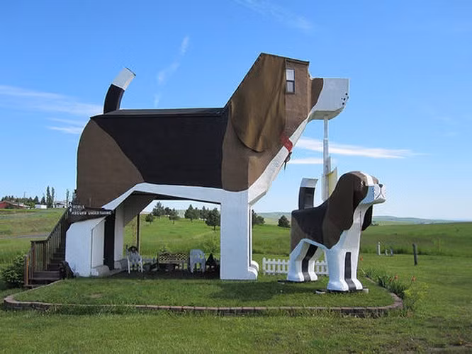 10. Dog Bark Park Inn - Cottonwood, Idaho, Hoa Kỳ Dog Bark Park Inn ở Cottonwood, Idaho, Mỹ là tác phẩm của cặp đôi Frances Conklin và Dennis Sullivan. Đây là khách sạn dành cho người yêu chó. Ngay cả nội thất của khách sạn đều bao gồm hình ảnh chó. Vì vậy, nếu bạn là một người yêu chó, hãy thử trải nghiệm khách sạn một lần.