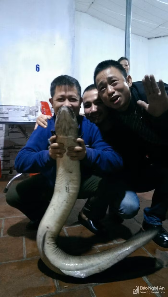 Bạn bè cùng đến chia vui sau khi anh Thọ câu được cá "khủng". Ảnh: Khánh Thành