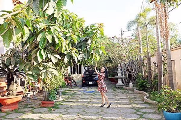 Toàn bộ không gian 1.000m của ngôi nhà tràn ngập cây xanh.