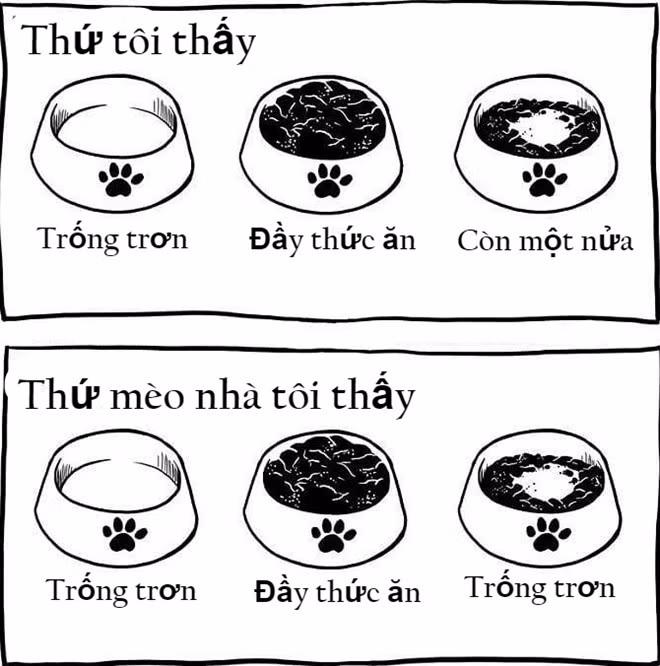8. Là "con sen" đích thực: Nuôi một con mèo, bạn phải chấp nhận làm "con sen" thực thụ, nghĩa là luôn quan tâm đồ ăn, thức uống và cả nơi đi vệ sinh của chúng. Chỉ cần bạn lơ là, không đổ đầy thức ăn vào tô, chúng có thể tỏ ra hờn dỗi ngay.