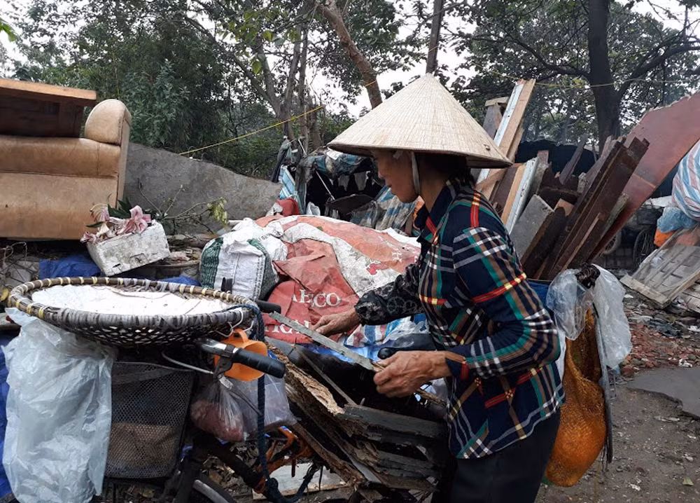 Mỗi ngày sau khi bán hết ngô, họ đều mang về một bó củi lớn. Ảnh: Minh Anh