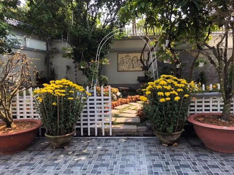 Ngoài ra còn có hoa cúc, hoa lan... và các loại cây bonsai.