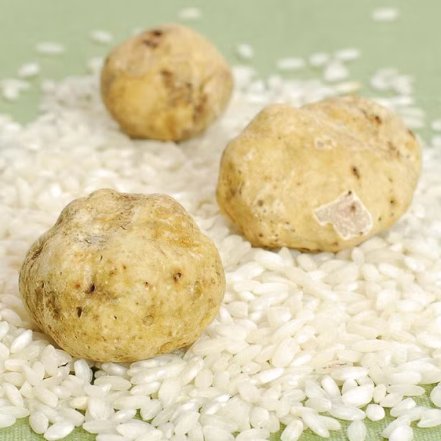 7. Nấm truffle trắng Được xem là một loại kim cương quý hiếm nhờ vị ngọt đặc trưng của mình, nấm truffle trắng chỉ mọc trong tự nhiên và ẩn mình sâu trong lòng đất, loại nấm này thậm chí còn được ví như viên kim cương nhà bếp độc nhất vô nhị.