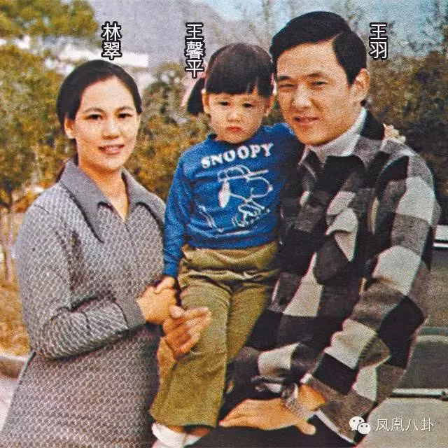 Hạnh phúc có được sau bao bão tố của Vương Vũ tiếc rằng không thể bền vững.