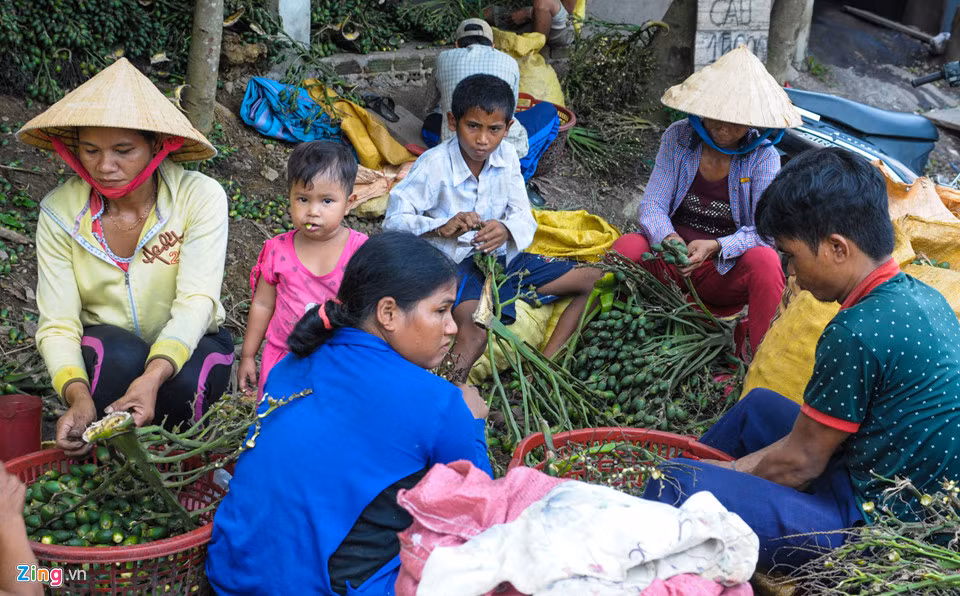 Sau khi thu mua trái tươi về, người dân tập trung phân loại trước khi đưa vào lò luộc, hấp sơ chế.