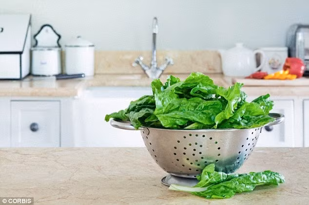 Rau bina tốt nhất nên ăn sống. Đây là loại rau giàu kali, giúp giữ huyết áp của chúng ta ổn định và nó cũng giàu chất vitamin A và C rất cần cho hệ thống miễn dịch. Màu xanh của rau bina cung cấp canxi, magie và mangan để giữ xương chắc khỏe.