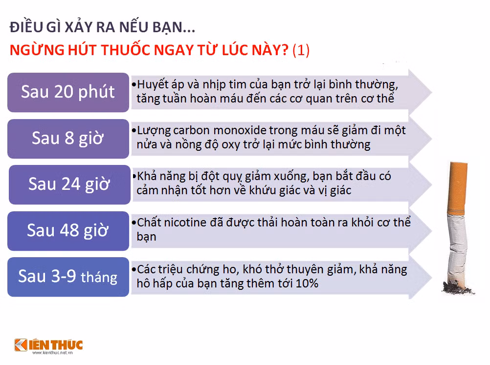 Đừng nghĩ rằng bạn đã hút thuốc lâu năm và việc cai thuốc bây giờ đã là quá muộn. Có thể bạn không ngờ rằng, ngay từ khi ngừng hút thuốc, các tế bào trong cơ thể đã bắt đầu có cơ hội phục hồi và chỉ sau 48 giờ, chất nicotine đã được loại bỏ hoàn toàn ra khỏi cơ thể.