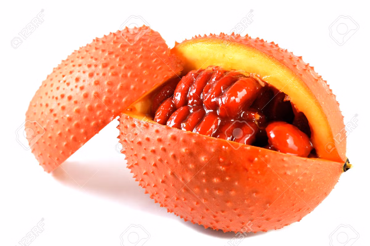  Quả gấc chứa rất nhiều vitamin và khoáng chất tốt cho sức khỏe, đôi mắt và cả làn da. Vitamin A trong gấc có thể tái tạo làn da khỏe mạnh, mịn màng, tăng độ đàn hồi và độ ẩm cho da. Ảnh: 123RF.