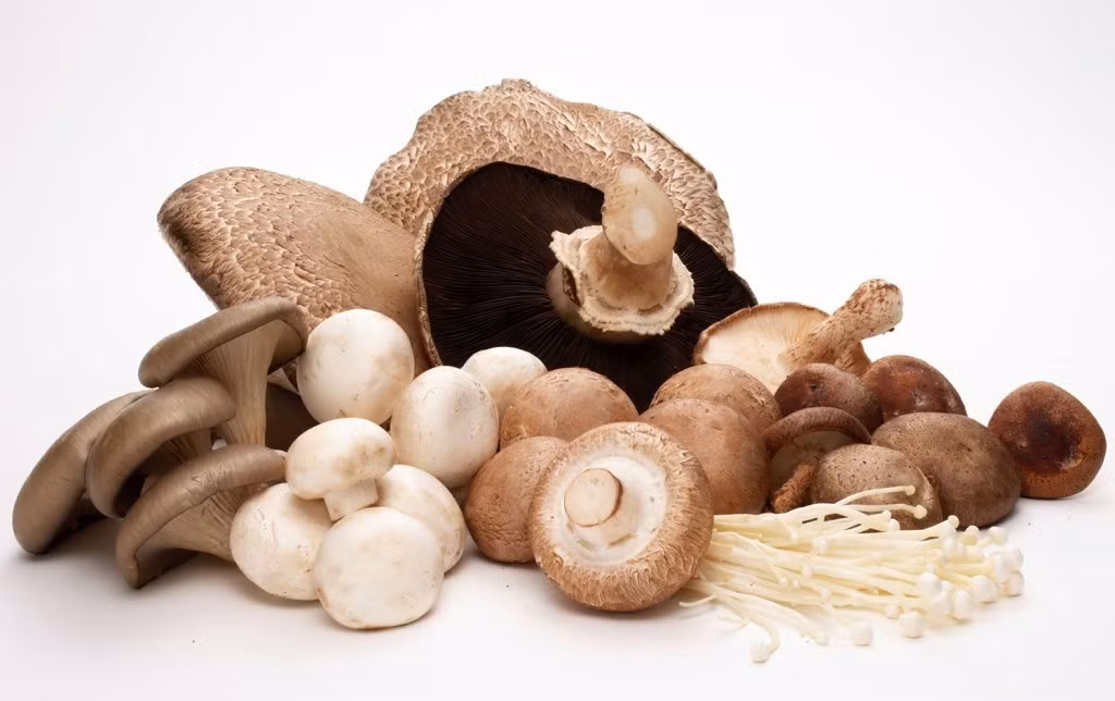 Các loại nấm giúp bổ sung cho cơ thể các vitamin A, E, C, K… giúp cơ xương dẻo dai, đồng thời ngăn ngừa tình trạng thoái hóa xương khớp. (Nguồn Mushrooms)
