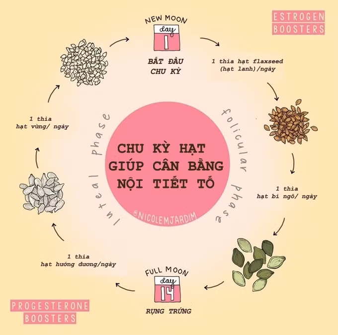 Ăn các loại hạt quen thuộc này theo chu kỳ, mụn nội tiết bay sạch - Hình 2 An cac loai hat quen thuoc nay theo chu ky, mun noi tiet bay sach-Hinh-2