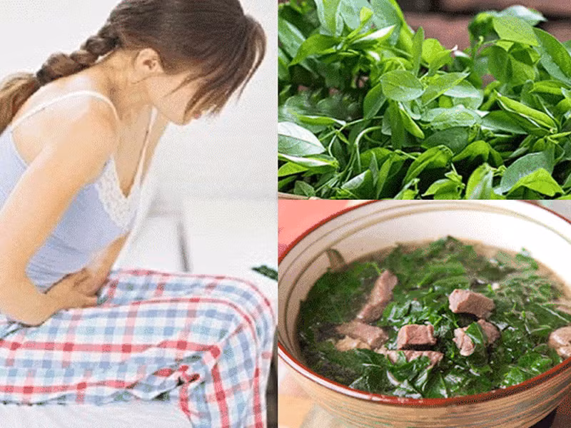 3 đối tượng cần nói “không” với rau ngót kẻo ung thư “ghé thăm” 3 doi tuong can noi “khong” voi rau ngot keo ung thu “ghe tham”
