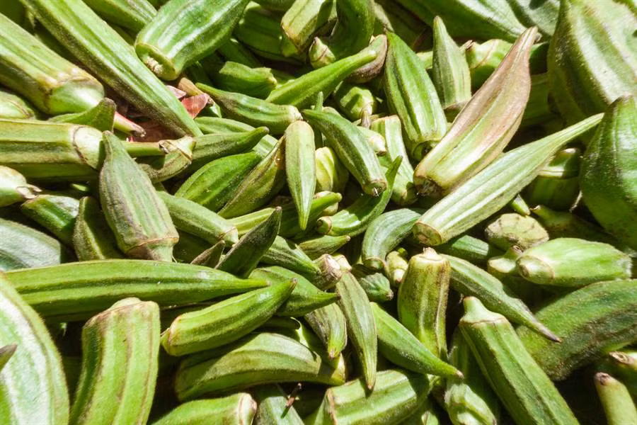 Hao hung an dau bap, ca nha bi ao giac vi dieu khong ngo