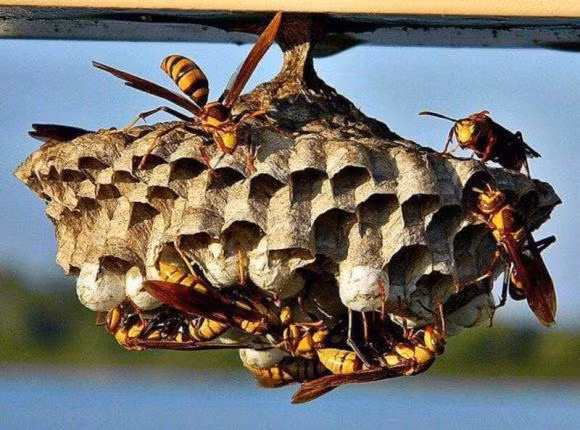 3 dấu hiệu nhà có phong thủy tốt, ở càng lâu càng giàu - Hình 3 3 dau hieu nha co phong thuy tot, o cang lau cang giau-Hinh-3