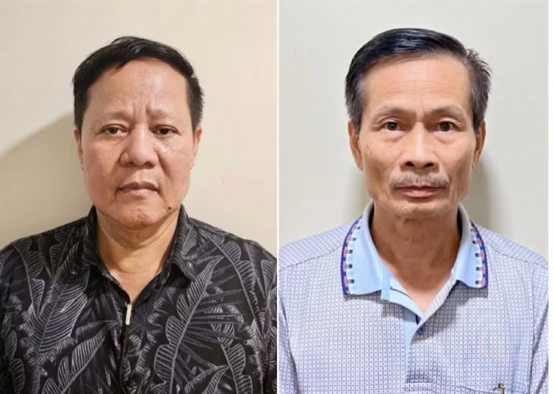 Chu tich HDQT Cong ty Dat hiem Viet Nam vua bi khoi to sai pham the nao?