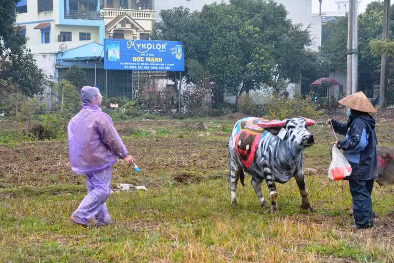Trau hoa ho cho ngay le Tich dien nam Dan-Hinh-4