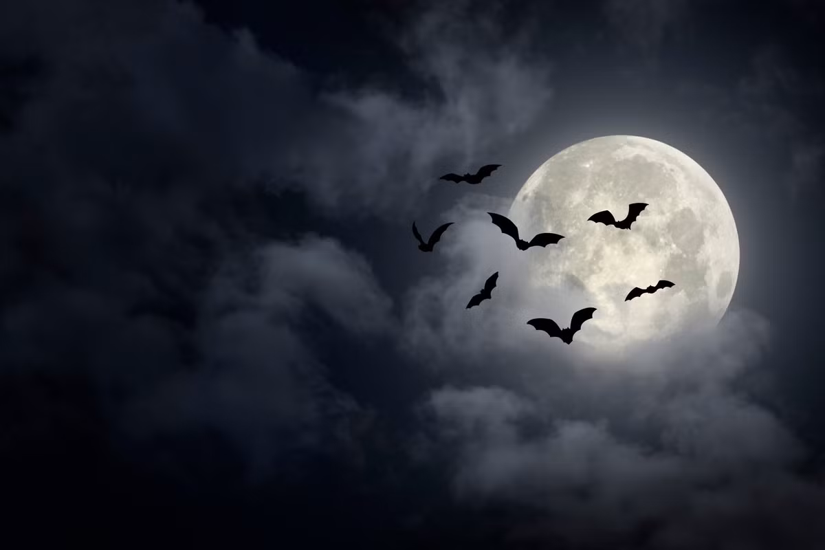 Tuy nhiên, "Dự án Horizon" của Mỹ không thành công như mong đợi. Một số nhà nghiên cứu cho rằng, kế hoạch xây dựng căn cứ trên Mặt trăng quá mạo hiểm và tốn kém nên cuối cùng bị hủy bỏ.