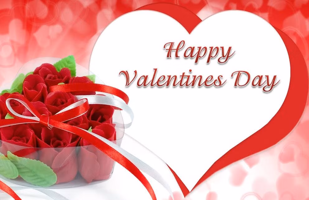 Vi sao cac cap tinh nhan thuong tang hoa hong do vao ngay Valentine?
