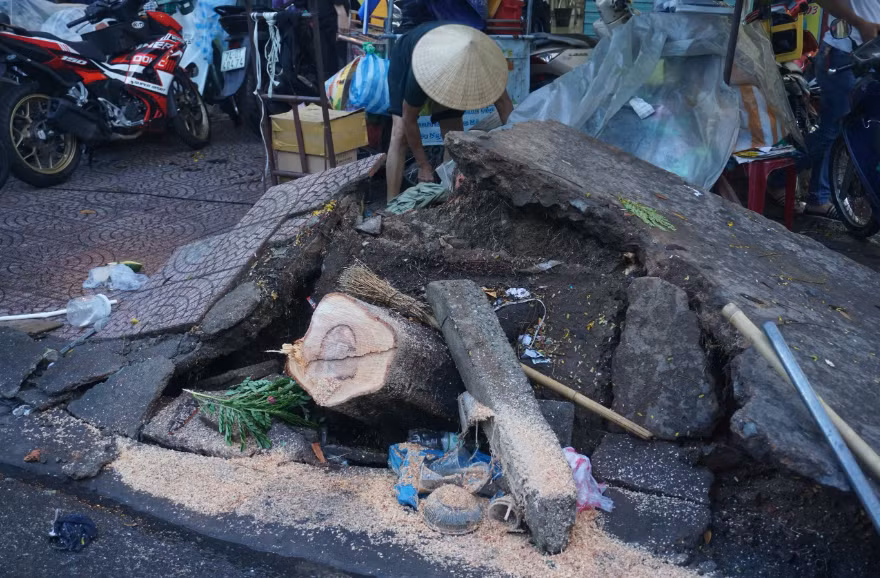 Đà Nẵng: Một phụ nữ bị thương do cây lớn bật gốc trong mưa dông - Hình 2 Da Nang: Mot phu nu bi thuong do cay lon bat goc trong mua dong-Hinh-2