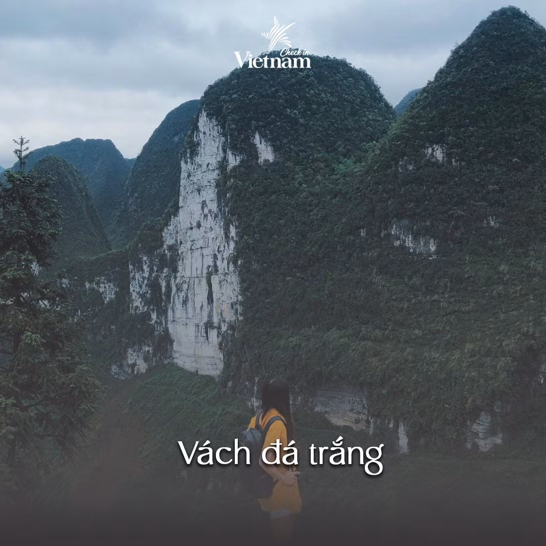Vách đá trắng Hà Giang là một điểm nhấn đặc biệt trong hành trình du lịch Hà Giang. Nơi đây được biết đến một vách đá cheo leo đầy thách thức dành cho những ai yêu thích sự mạo hiểm và khám phá.