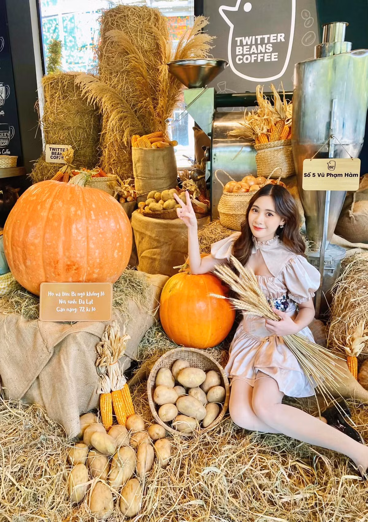 Một trong những quán cafe trang trí Halloween khác phải kể đến Twitter Beans. Ảnh: Phạm Hồng Vân Anh
