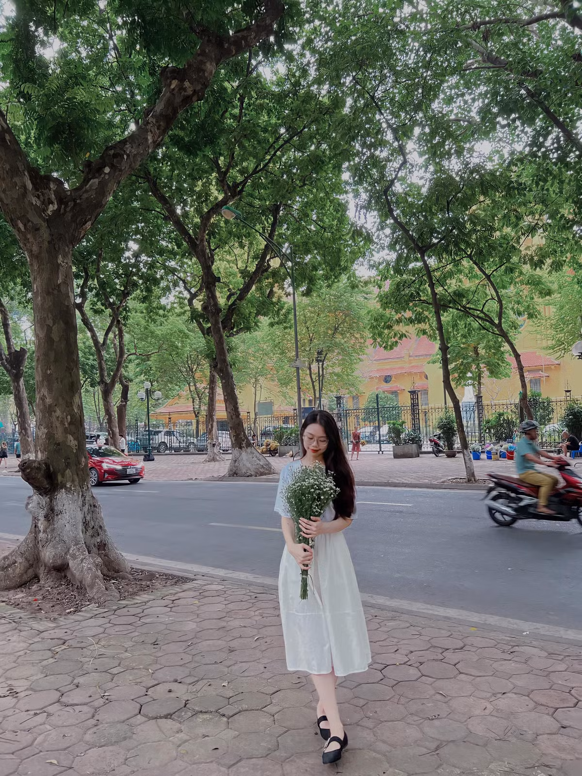 Đường Phan Đình Phùng (Ba Đình, Hà Nội) nổi tiếng với hai hàng cây sấu cổ thụ trên vỉa hè luôn rợp bóng mát vào mùa hè. Ảnh: Đào Tuyến