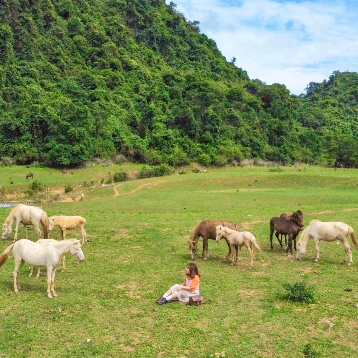 Những hình ảnh nguyên sơ tuyệt đẹp chốn Đồng Lâm dễ dàng khiến du khách “phải lòng” ngay từ lần đầu đặt chân đến. Ảnh: Nguyễn Khánh Hoàng Anh