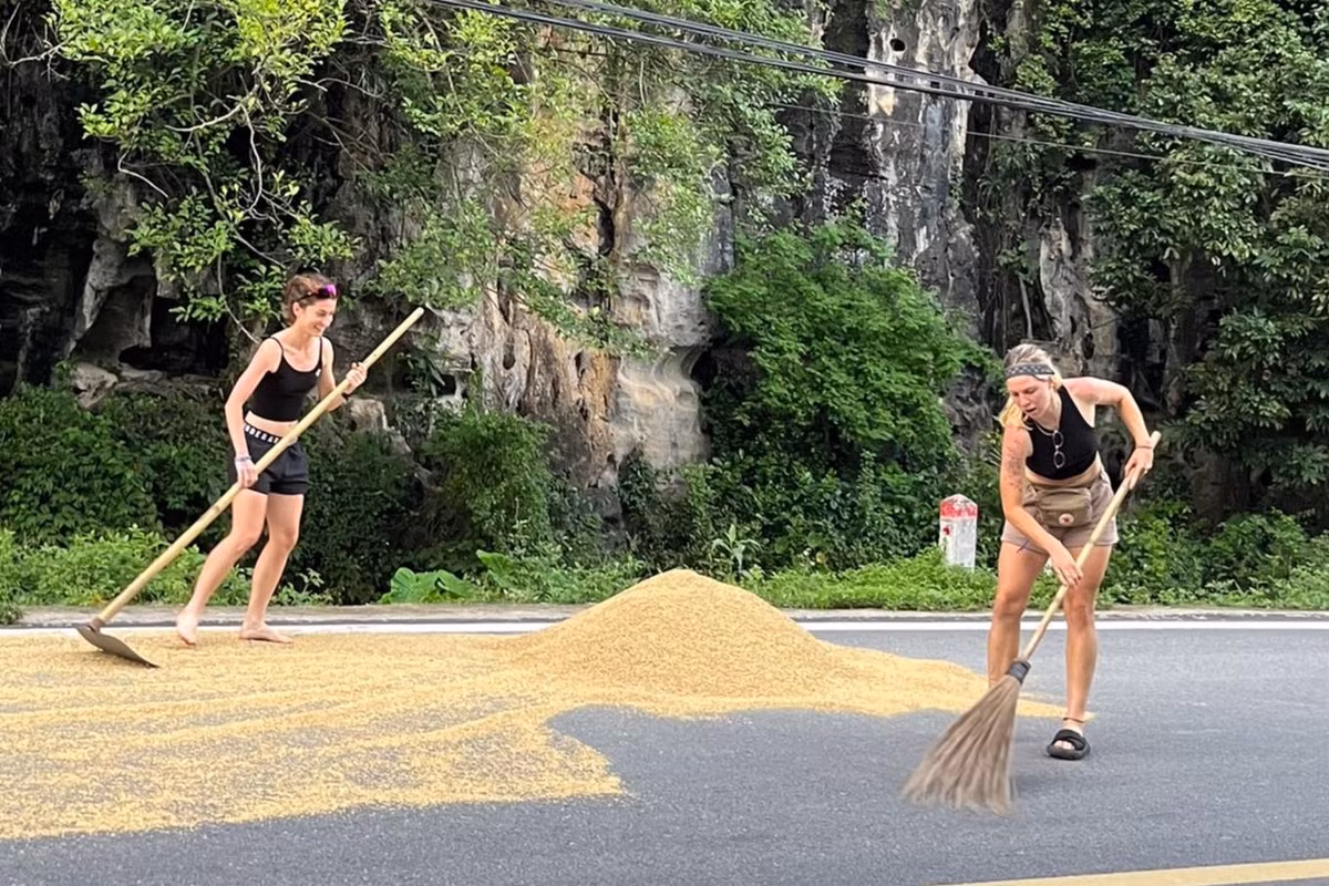 Trước đó, hình ảnh một đoàn khách Tây đang giúp bà con dồn lúa phơi trên đường cũng khiến nhiều người không khỏi thích thú.