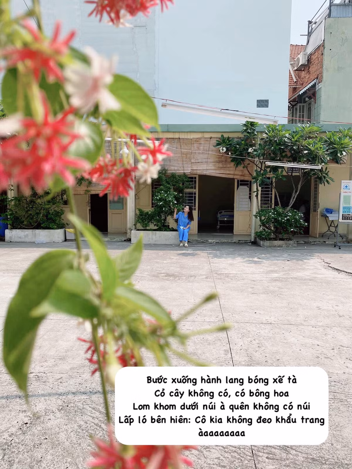 Thậm chí, Thùy Dung còn chế cả thơ của Bà Huyện Thanh Quan cho phù hợp với cả cảnh và người trong khu vực cách ly dịch Covid-19.
