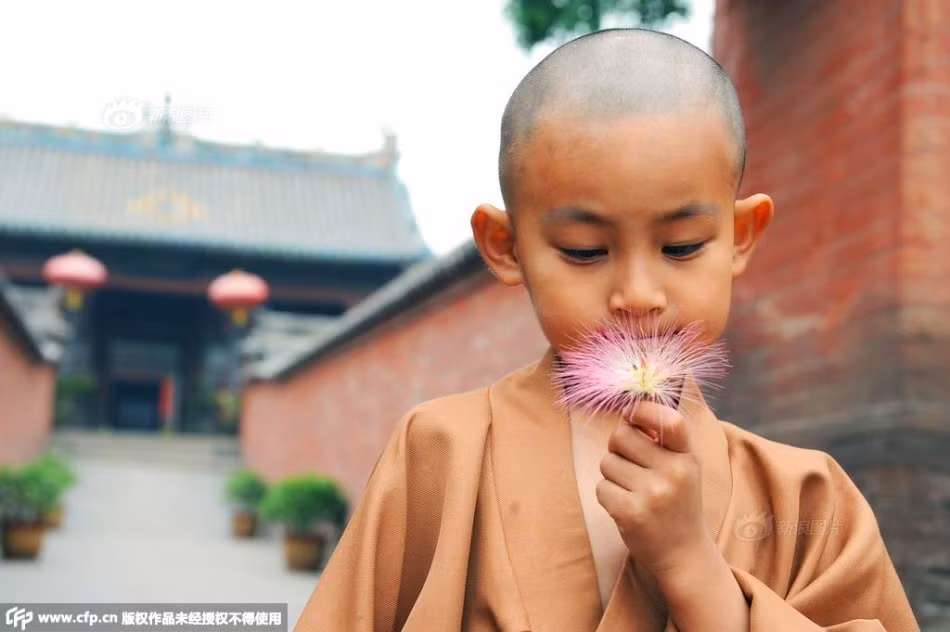 Phút thảnh thơi, tiểu hòa thượng cũng khám phá thiên nhiên.