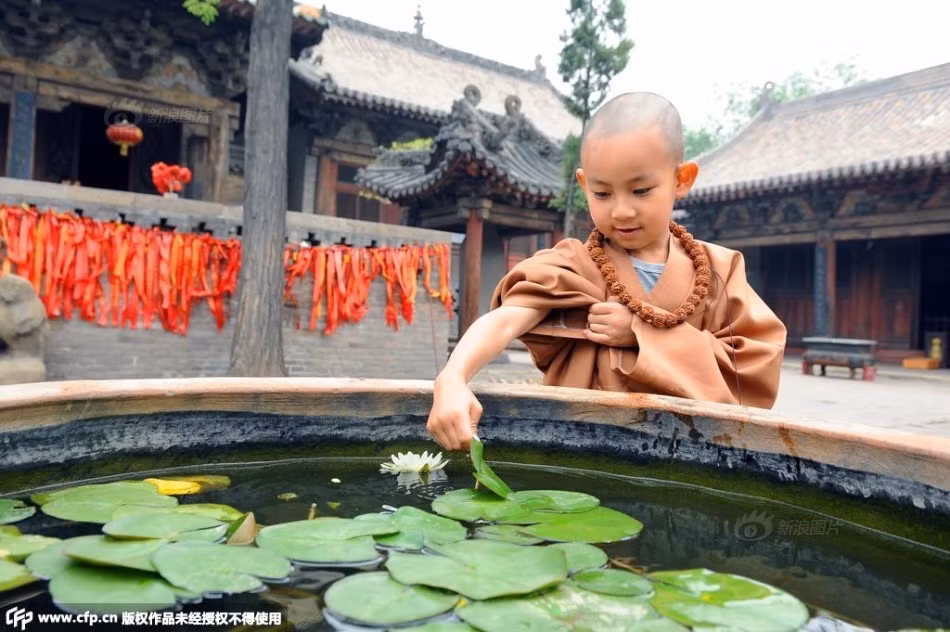 Những hình ảnh về tiểu hòa thượng Khả Nhạc được nhiếp ảnh gia Âm Hào chụp ảnh đã gây được sự chú ý lớn.