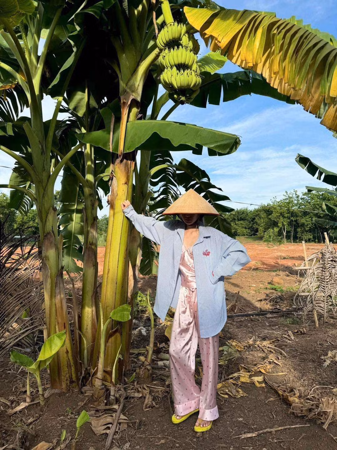Trên trang cá nhân, Xoài Non đăng tải loạt hình ảnh kèm dòng trạng thái: "Về queee" thể hiện sự vui vẻ, thích thú.