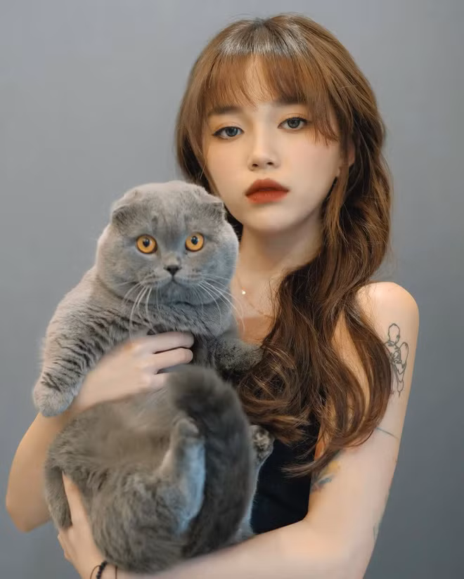 Nữ streamer hy vọng trong tương lai, những chú mèo nhà cô sẽ cho ra đời loạt mèo con xinh xắn.