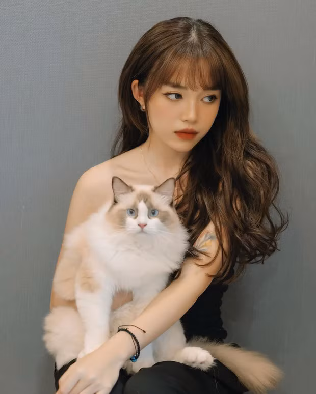 Linh Ngọc Đàm cũng sở hữu một chú mèo Sativa, 6 tháng tuổi và thuộc giống Ragdoll giống hệt với thú cưng của Lisa (BlackPink).
