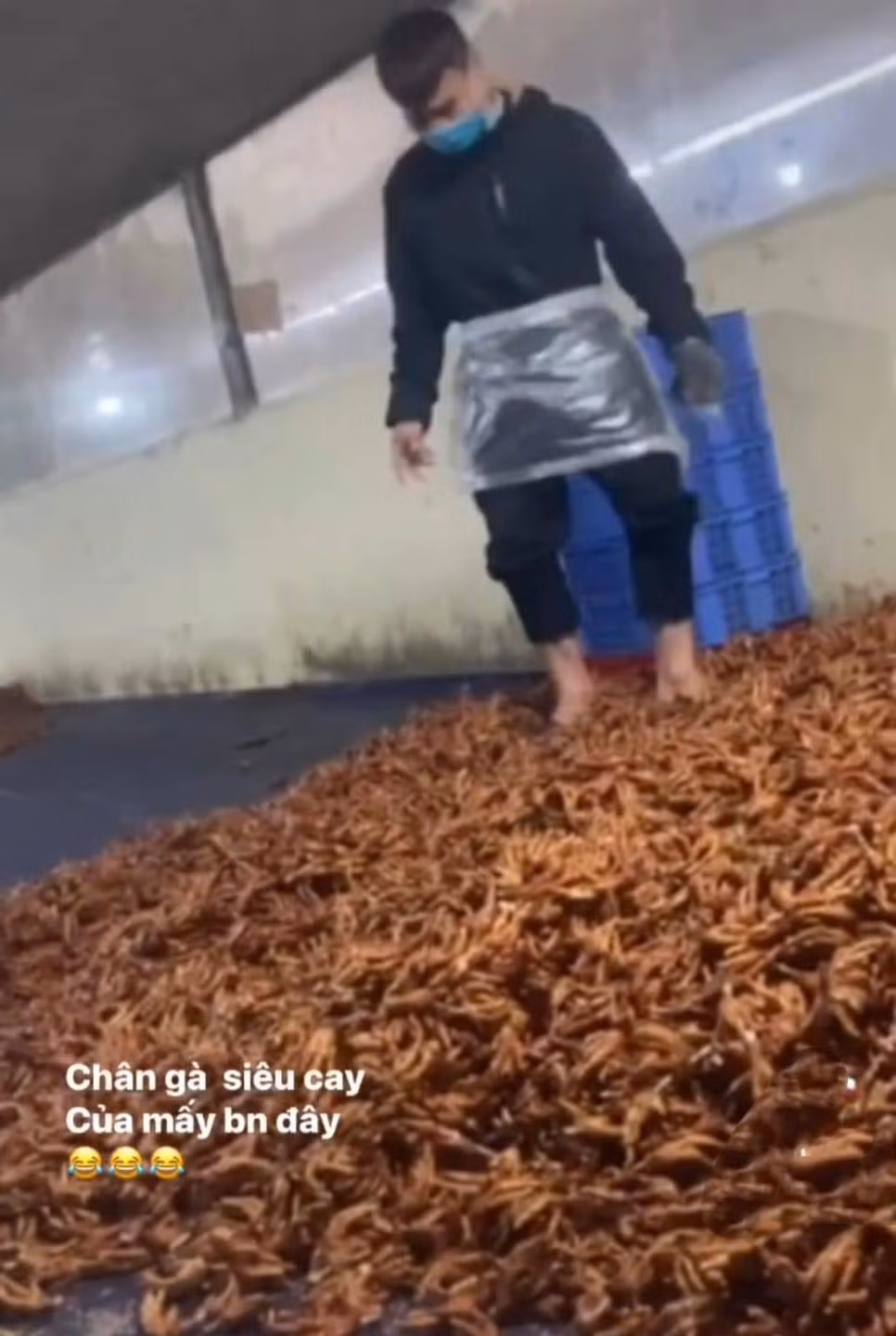 Hình ảnh được cắt từ một clip được lan truyền trên mạng xã hội. Theo đó đống chân gà được chất la liệt, một người đàn ông mang cả dép dẫm lên đống chân gà đó.