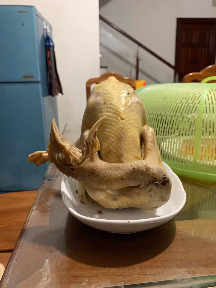 Chú gà phong cách cười cợt này chắc chắn khiến cả gia đình cười bò, không ăn nổi.