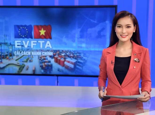 Đầu năm nay, Hoàng Linh Thuỷ (sinh năm 1992) là gương mặt mới của bản tin Thời sự 19h, cùng với đồng nghiệp Trần Quốc Anh là MC trẻ nhất được trao cơ hội dẫn Thời sự 19h thời điểm đó. Trước đó, cô từng dẫn dắt bản tin Chào buổi sáng, Studio 3, Thế giới hôm nay.