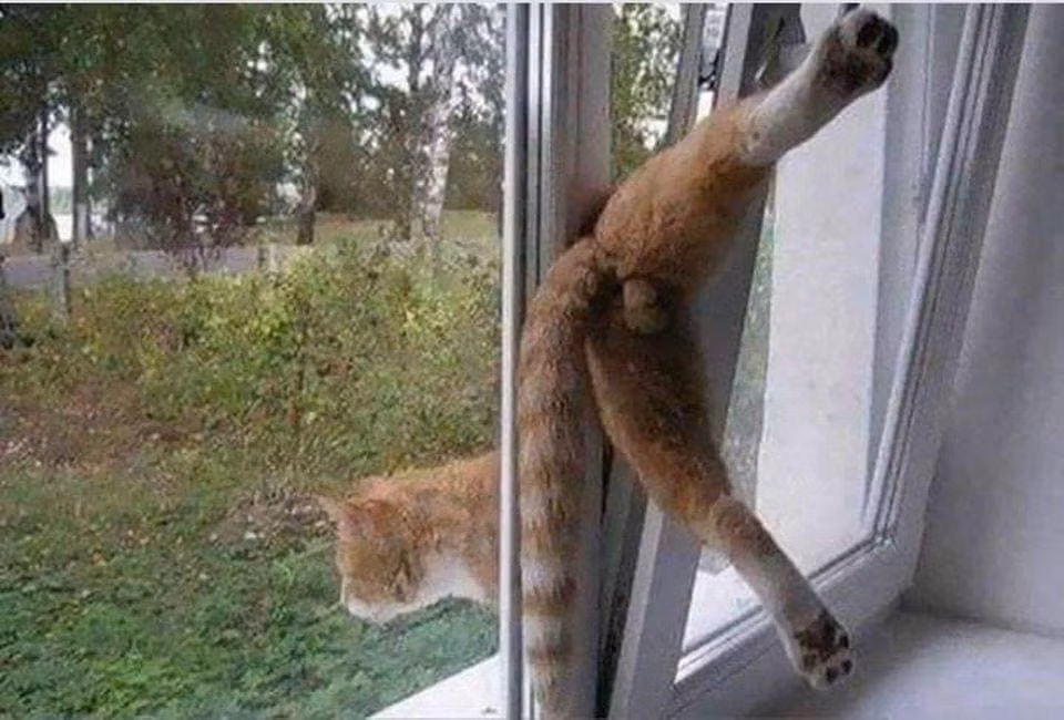 "Người đi một nửa hồn tôi mất".