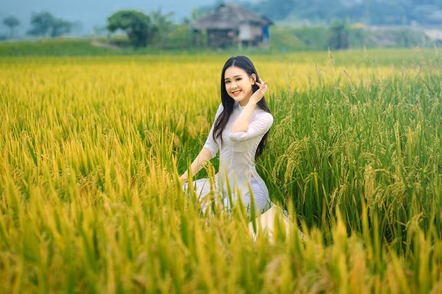 Mới đây, nàng á khôi tung ra bộ ảnh khoe sắc cực kỳ xinh đẹp bên đồng lúa chín vàng thu hút sự quan tâm của cộng đồng mạng.
