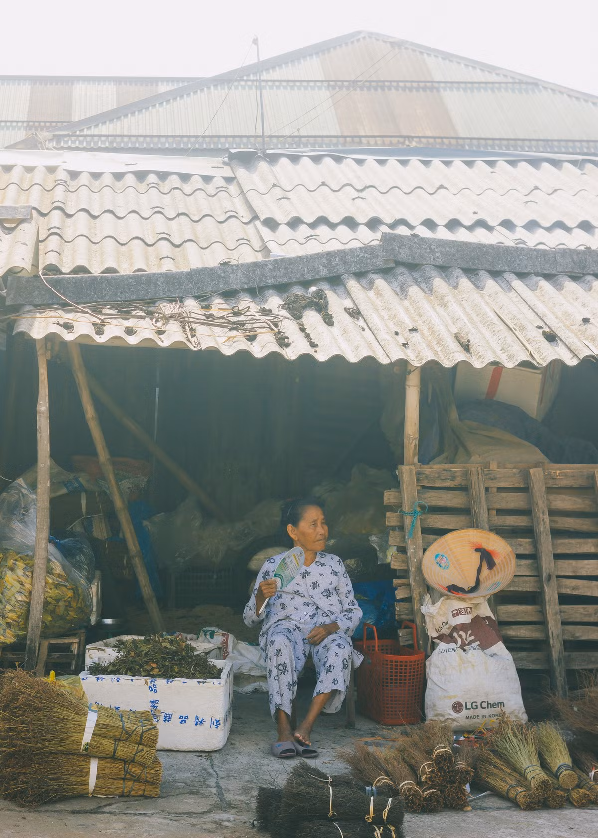 Loạt ảnh thu hút về rất nhiều lượt thích và bình luận. (Ảnh: Đi Mô Rứa)