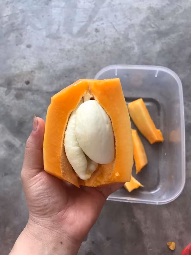 Được biết, đây không phải là lần đầu tiên trong ruột một quả đu đủ xuất hiện phần lõi trắng như vậy. Trên thế giới hay ngay chính Việt Nam cũng từng xuất hiện không ít trường hợp tương tự.