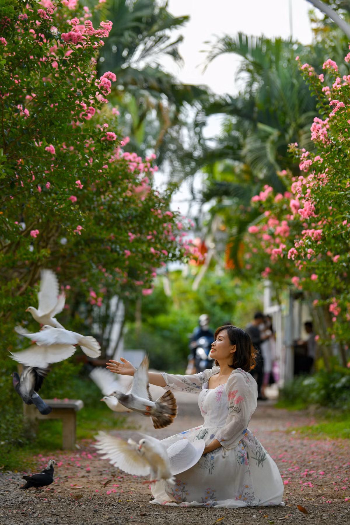Không chỉ có những phụ kiện, để tăng thêm độ tự nhiên cho khung hình, chủ phim trường còn nuôi thêm những chú chim bồ câu để khách có thêm "bạn diện".