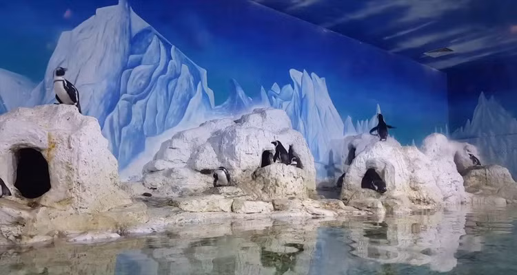 Vinpearl Aquarium Times City sẽ là điểm ăn chơi phù hợp với những bạn trẻ cần nạp "vitaminsea" nhưng chưa có điều kiện du lịch trong dịp nghỉ lễ Quốc khánh 2/9. Ảnh: nemtv.vn
