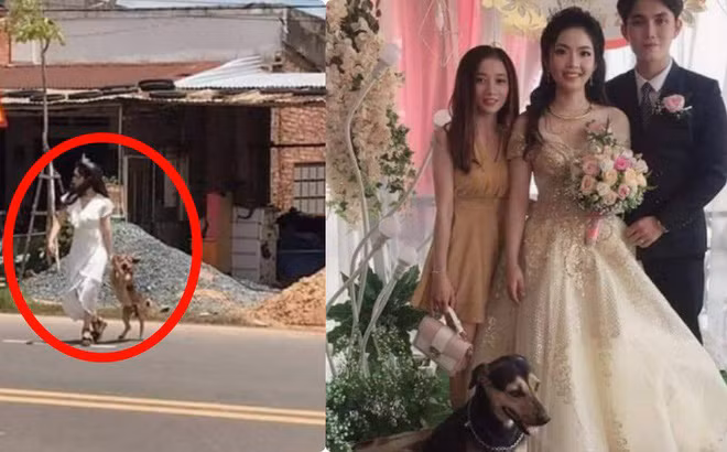 Đám cưới là ngày trọng đại trong cuộc đời mỗi người. Ai cũng đều muốn được chụp ảnh cùng những người thân yêu, những thứ thân thuộc nhất.