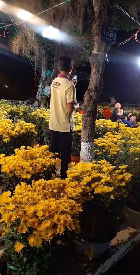 Năm mới sắp đến, khắp nơi đều rộn ràng không khí vui tươi, chợ hoa ngày Tết xuất hiện trên khắp phố phường. Thế nhưng dù nở rộ đến đâu thì những bông hoa kia cũng không rực rỡ, đẹp đẽ bằng hình ảnh người bố sử dụng một chiếc điện thoại lỗi thời để ghi lại hình ảnh của hai người con trong vườn hoa xuân.