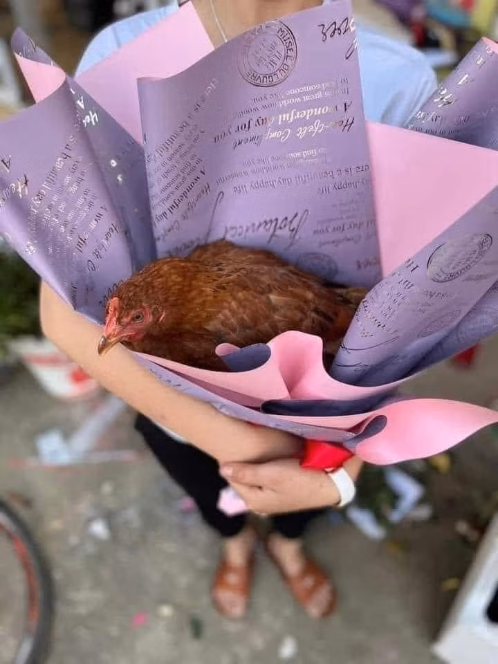 Tặng em con pet biết đẻ trứng...