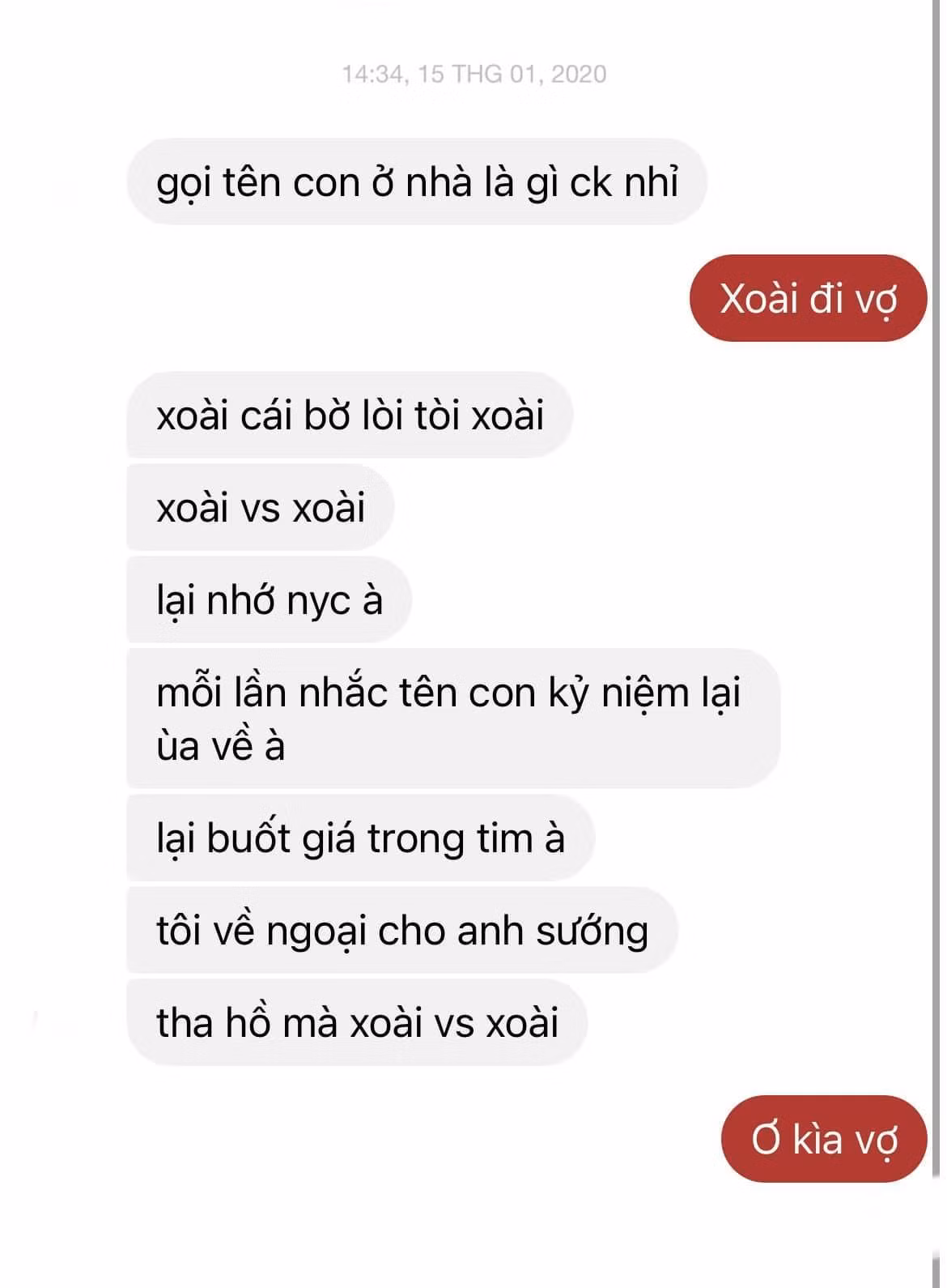 Kiếp nạn của anh chồng...