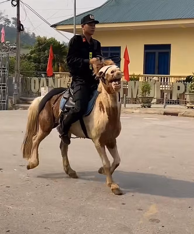 Nhiều người đã bình luận khi thấy hình ảnh này: "Nhìn anh bộ đội bất lực lắm rồi đấy nhé", "đỉnh lưu mới của Việt Nam".