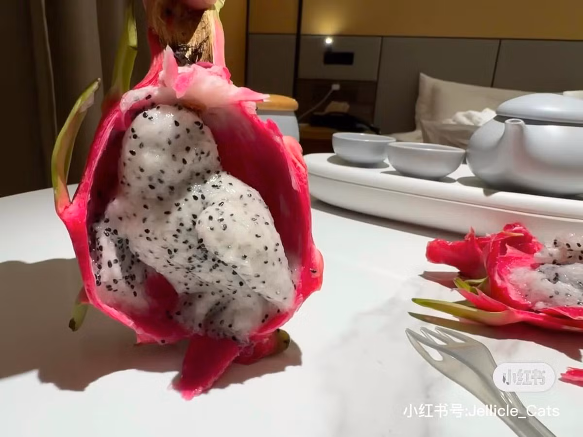 Phần cánh, thân, đầu và chân đang dần được tách biệt rõ ràng hơn.