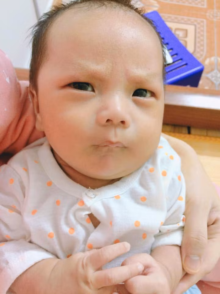 CĐM cảm thấy vô cùng thích thú với những bức ảnh chỉ một sắc thái, luôn tỏ ra khó chịu của cậu bé, họ đùa rằng đây là khuôn mặt có tính giải trí cao.