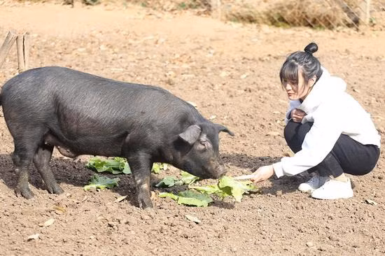 Mặc kệ lời bố nói, gia đình sốt ruột vì mãi không có mối duyên nào, Chí Viễn cho hay: "Nếu có một ngày gặp được người đàn ông của đời mình, tôi hy vọng anh ấy cũng yêu thích công việc nuôi lợn giống như tôi".